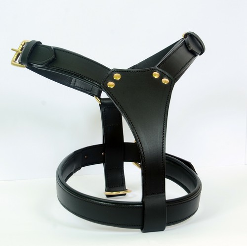 Leather dog harness - leather,