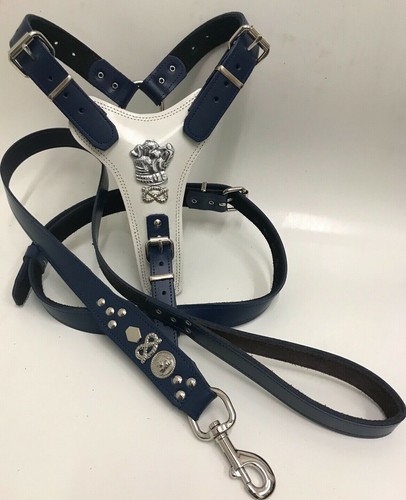 Dog harness real - dog,