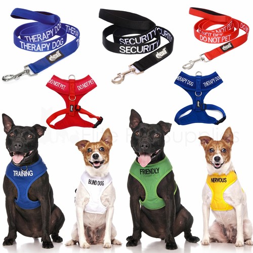 Dexil dog harness short - harness, or