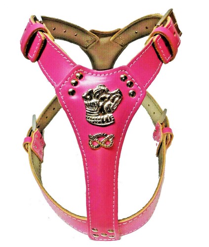 Deep pink leather dog - leather,