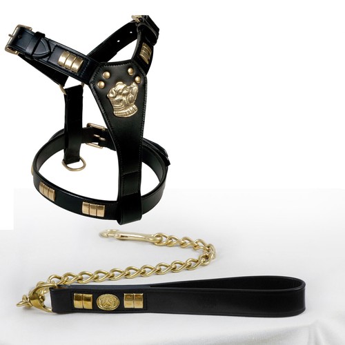 Staffy leather dog harness - dog,