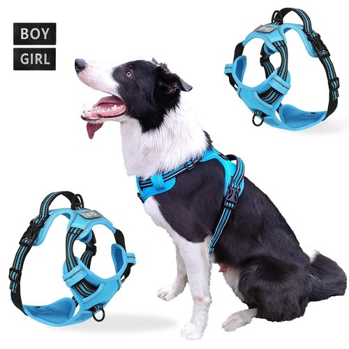 Pull dog harness - no,