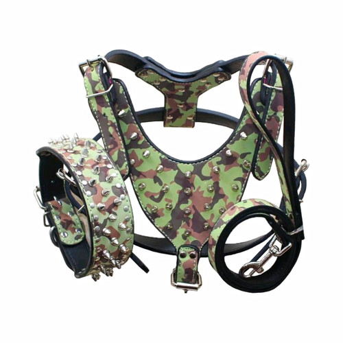 Dog harness set - harness, medium