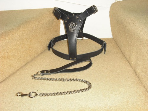 Black padded leather - leather, dog