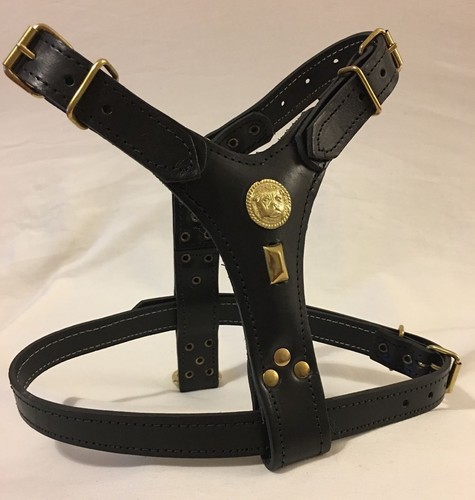 Dog harness real - harness,