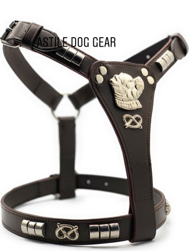 Leather staffy harness - leather,