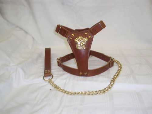 Brown padded staffy puppy - padded,