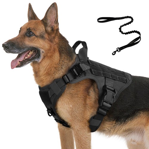 Rabbitgoo training pet dog - rabbitgoo,