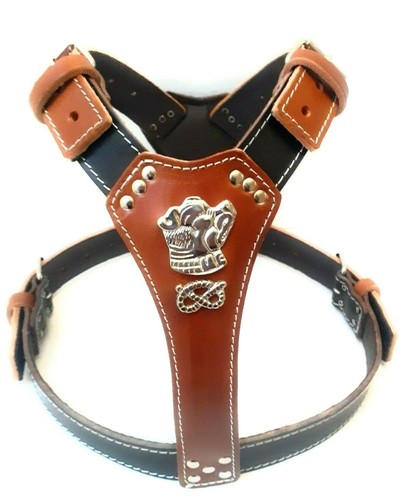 Two tone leather dog harness - two,