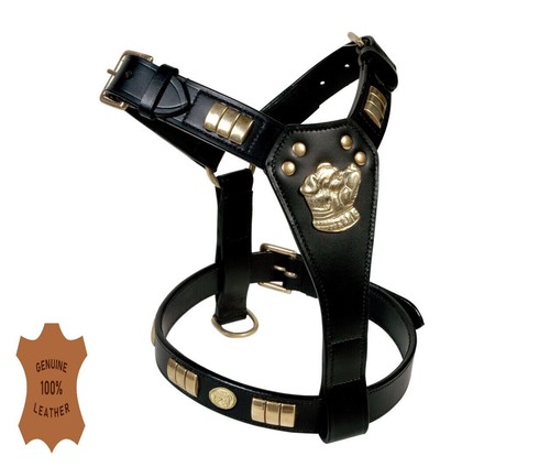 Staffy leather designer dog - leather,