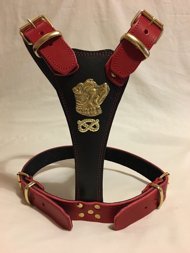 Leather dog harness - dog,