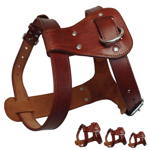 Dog harness genuine leather - genuine,