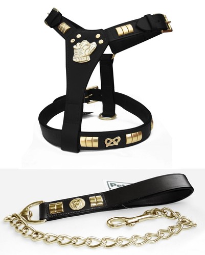 Staffy staffordshire leather - staffy,
