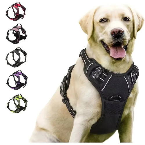 Pull dog harness front - front, clip