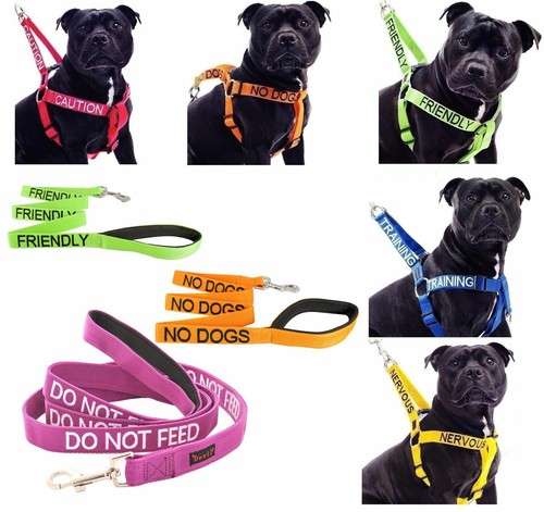 Dexil dog harness - dexil, or