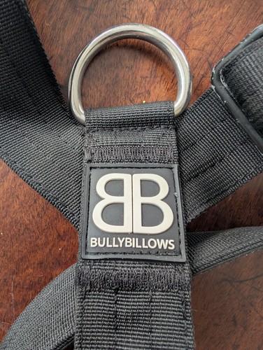 Bull terrier harness - bull,