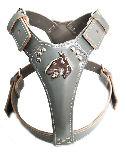 Grey leather dog harness with - grey,
