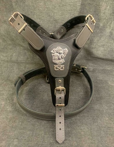 Dog harness real - dog,