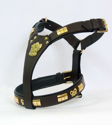 Leather dog harness designer - harness,