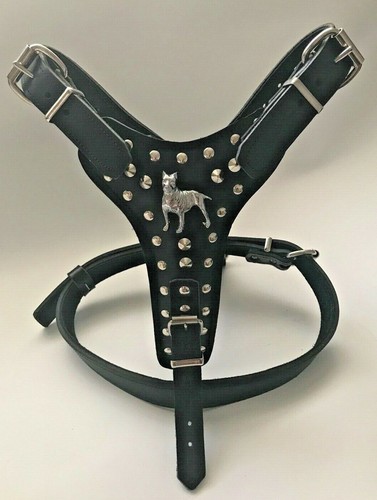 Dog harness real leather pit - harness, leather-pit