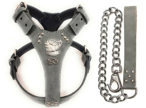 Grey leather dog - grey,