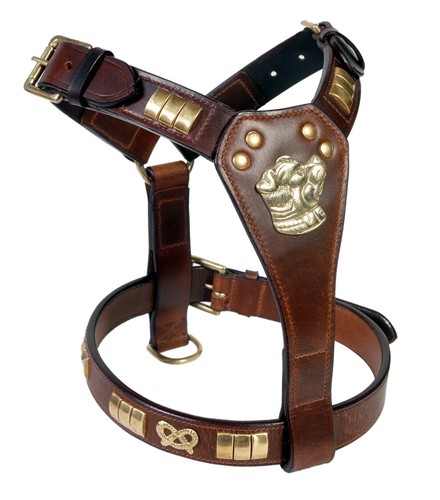 Leather staffy designer dog - leather,