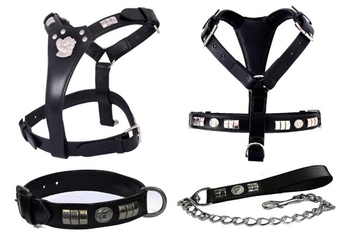 Staffy leather dog - dog, harness