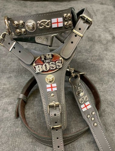 Real leather - real,