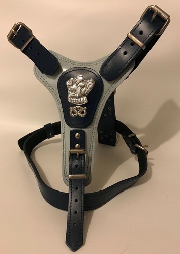 Dog harness real - dog,