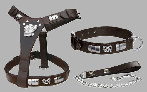 Staffordshire bull terrier - staffordshire,