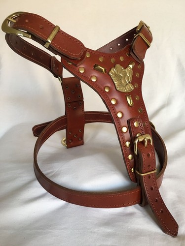 Dog harness real - dog,