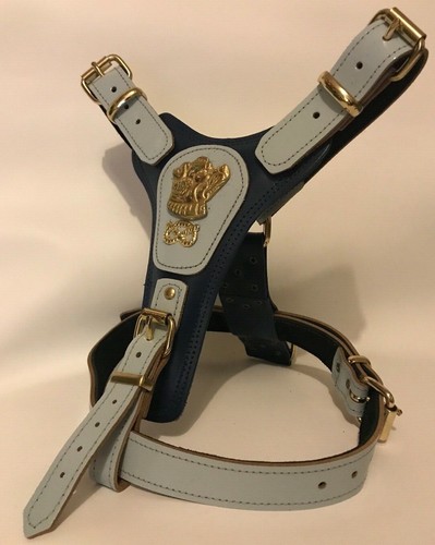 Dog harness real - dog,