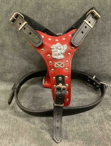 Dog harness real - dog,