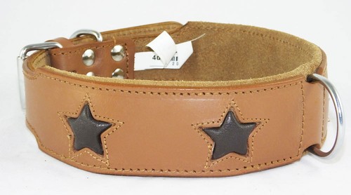 Tan staffie dog collar - tan, with
