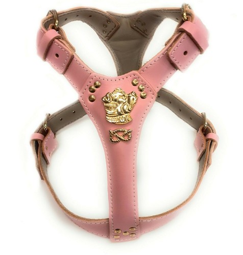 Baby pink gold leather dog - baby,