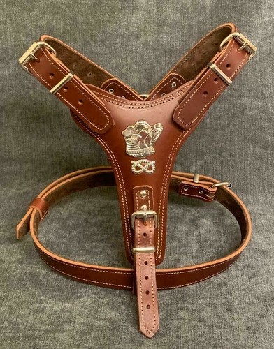 Dog harness real - dog,