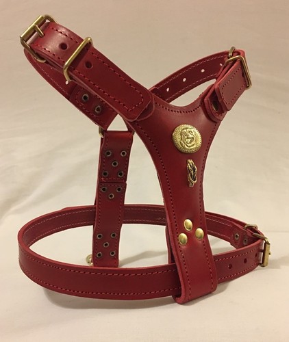 Dog harness real leather - harness,
