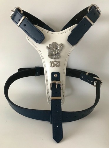 Dog harness real - harness,