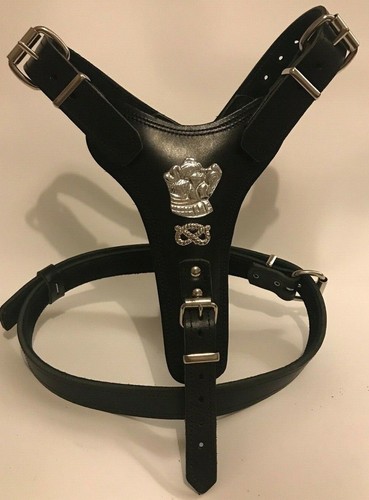 Dog harness real - dog,