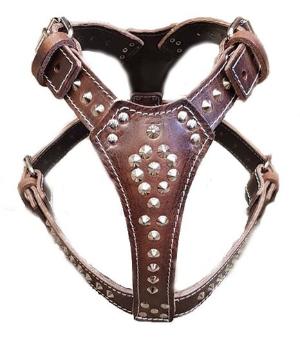 Beautiful studded brown - beautiful,