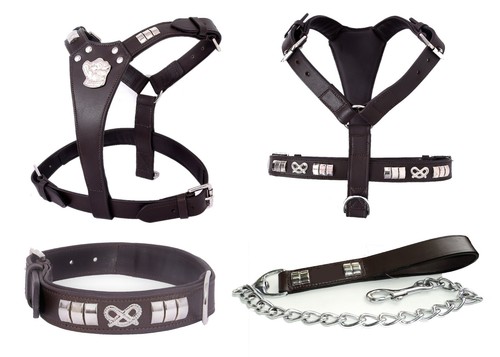Staffy dog leather - staffy, harness