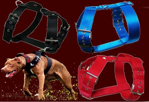 5cm wide nylon harness - 5cm,