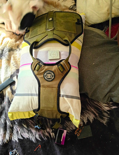 Bullybillows tactical dog - bullybillows,