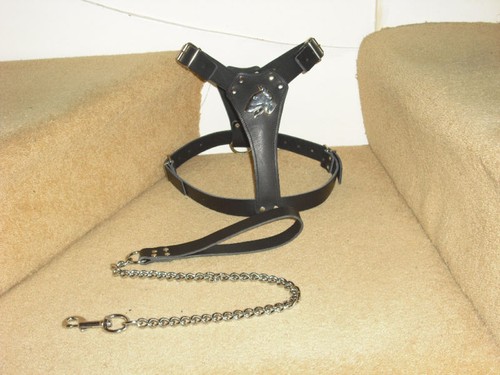Black padded leather - leather, dog