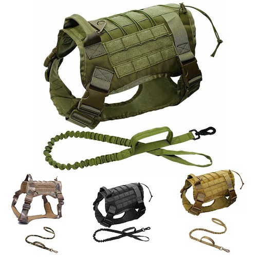 Military tactical dog - military,