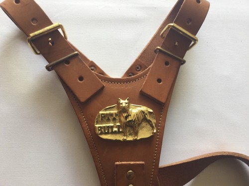Brown pit bull leather harness - bull,