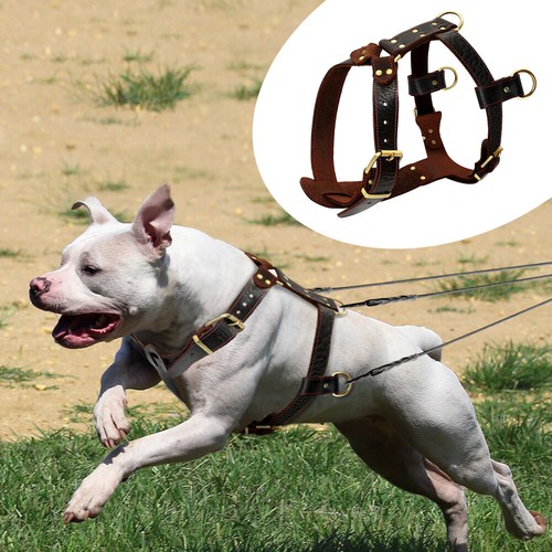 Dog weight pulling harness - weight,