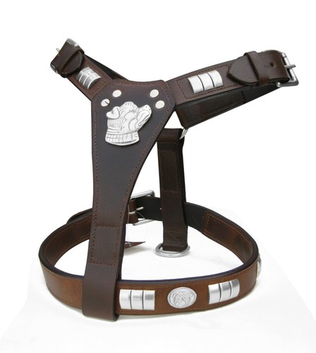 Dog leather harness staffy - leather,