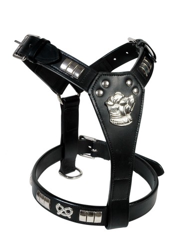 Staffy leather designer dog - staffy,