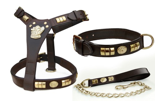 Leather dog harness - leather,